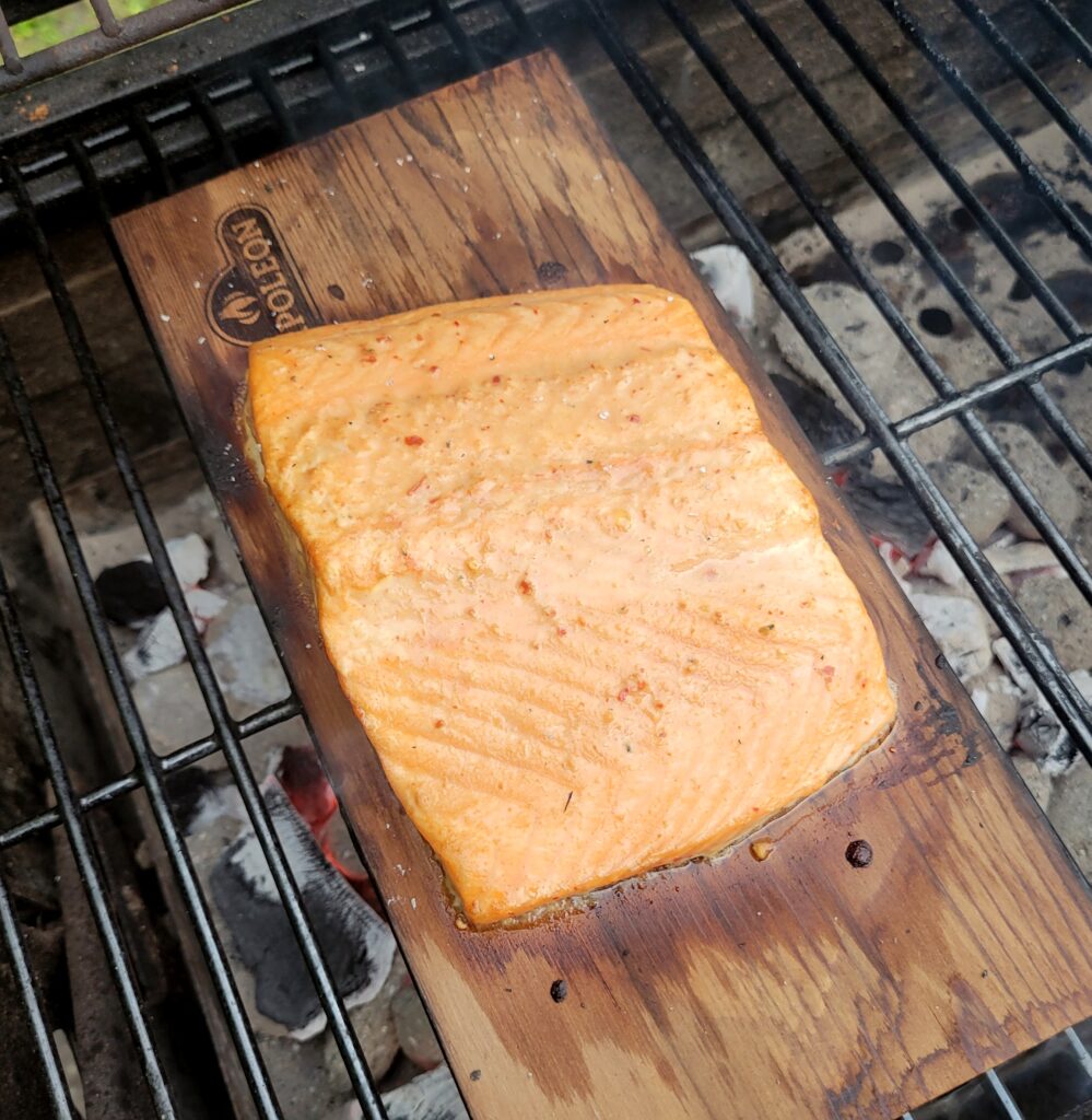 Sinaasappel En Gember Bbq Zalm Op Een Plankje Oesters Uien